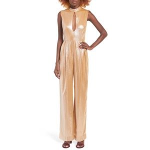 NWOT Rachel Antonoff “Stacy” Jumpsuit